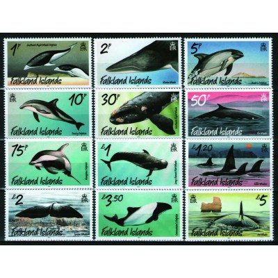 Ballenas y Delfines